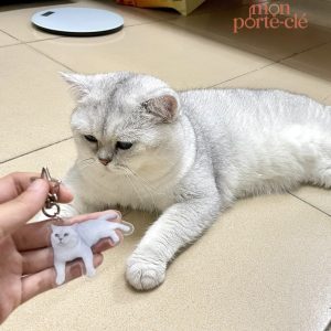 Porte-clé acrylique avec design unique