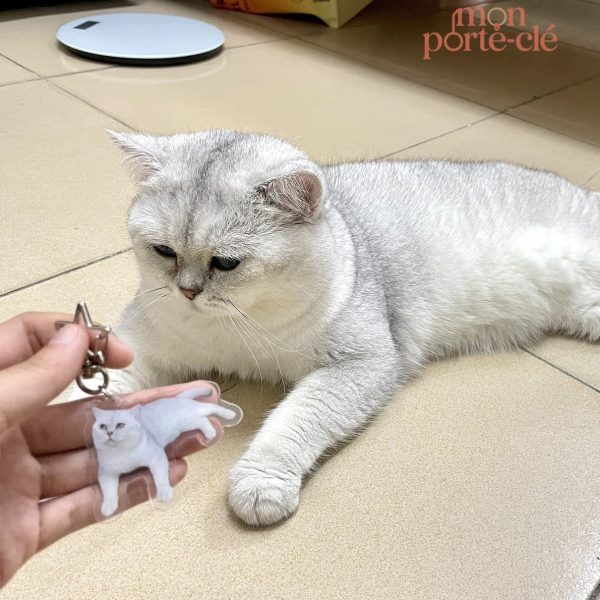 Porte-clé acrylique avec design unique