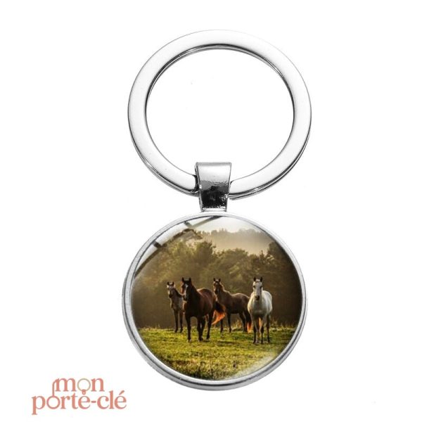 Porte-clé cheval personnalisé pour passionnés
