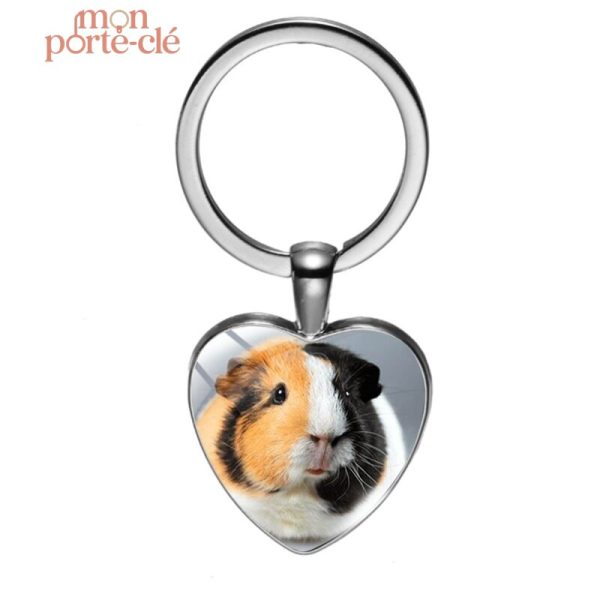 Porte-clé cochon d'Inde en peluche colorée