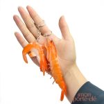 Porte-clé crevette coloré pour les amateurs d'animaux